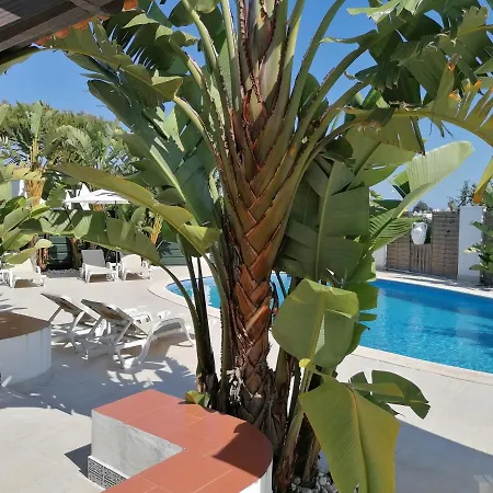 15,great Spot Ourabeach, *